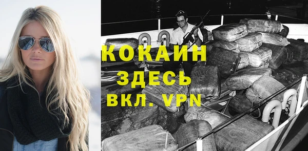 гидра Сясьстрой