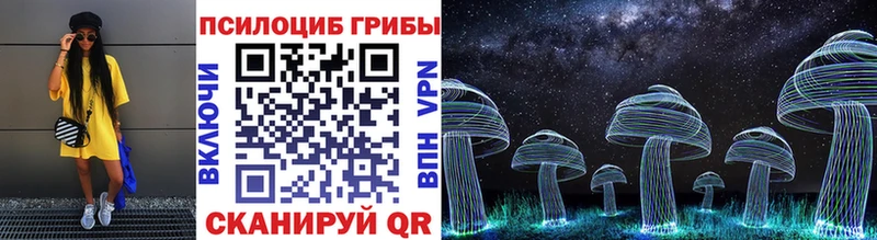 Галлюциногенные грибы Psilocybine cubensis Унеча