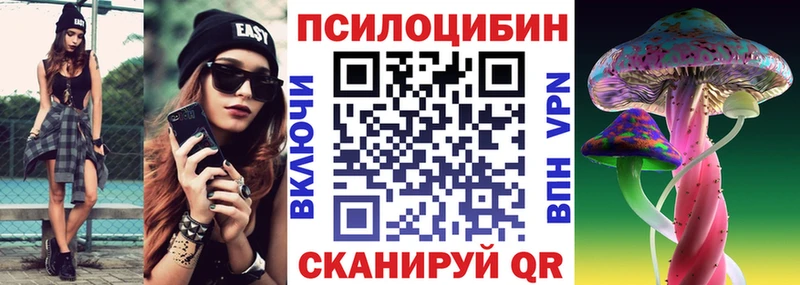 Купить где  Унеча  Галлюциногенные грибы Cubensis 